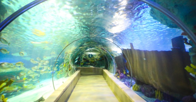 Emaar Aquarium Istanbul